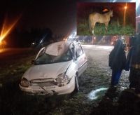 Tres heridos al colisionar a un equino que estaba suelto en el ingreso a Bariloche