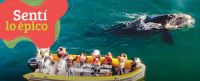 Río Negro se promociona ante el trade de Rosario y CABA