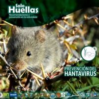 Hantavirus: cómo prevenir enfermedades transmitidas por roedores