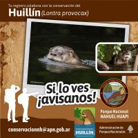 ¡Si lo ves avisanos! campaña del Parque Nacional Nahuel Huapi para la detección de especies