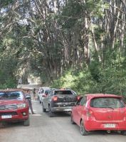 El camino desde Los Rápidos a Tronador se encuentra nuevamente transitable