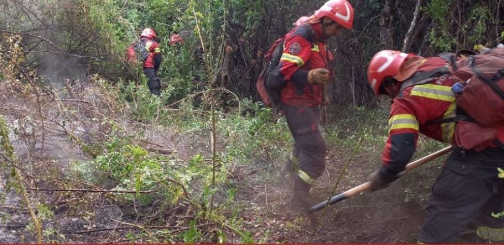 A pesar de los esfuerzos de más de 130 personas continúa activo el incendio en Epuyén