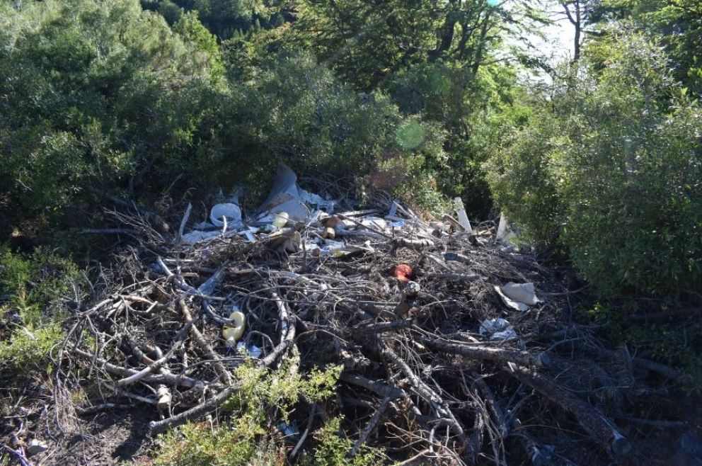 Municipio y Parques realizaron la limpieza de un microbasural en el Balcón del Gutiérrez