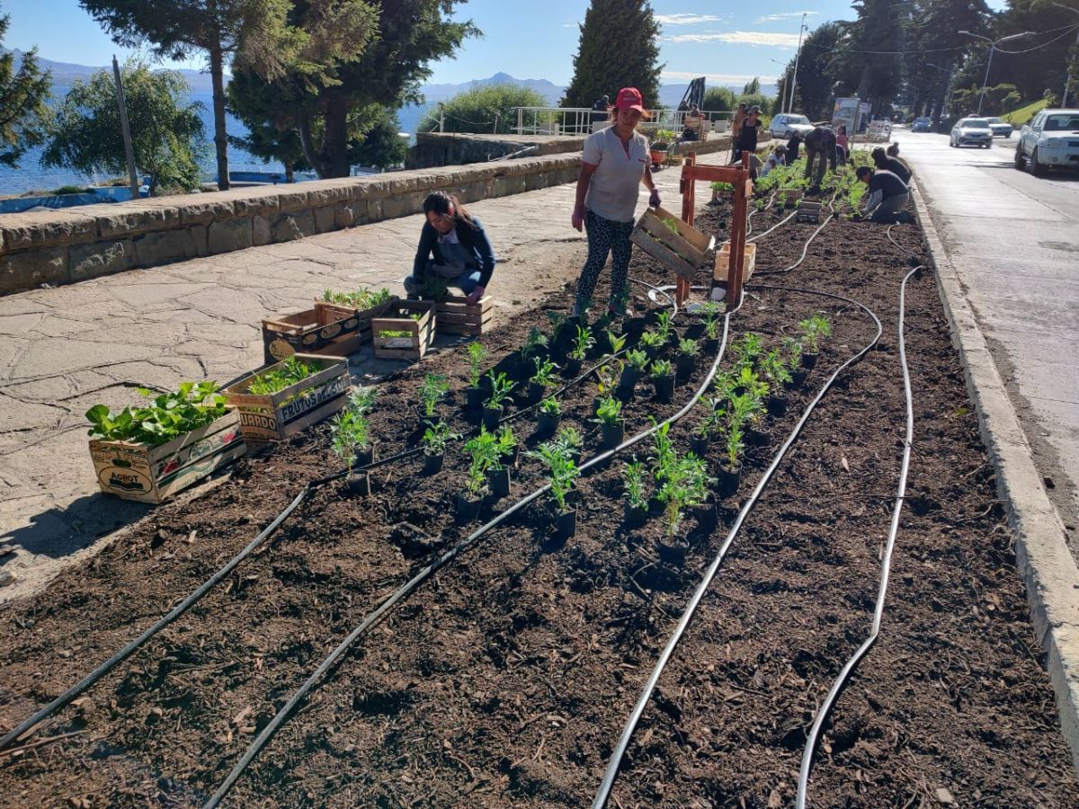 Municipio continúa embelleciendo diferentes sectores de la ciudad