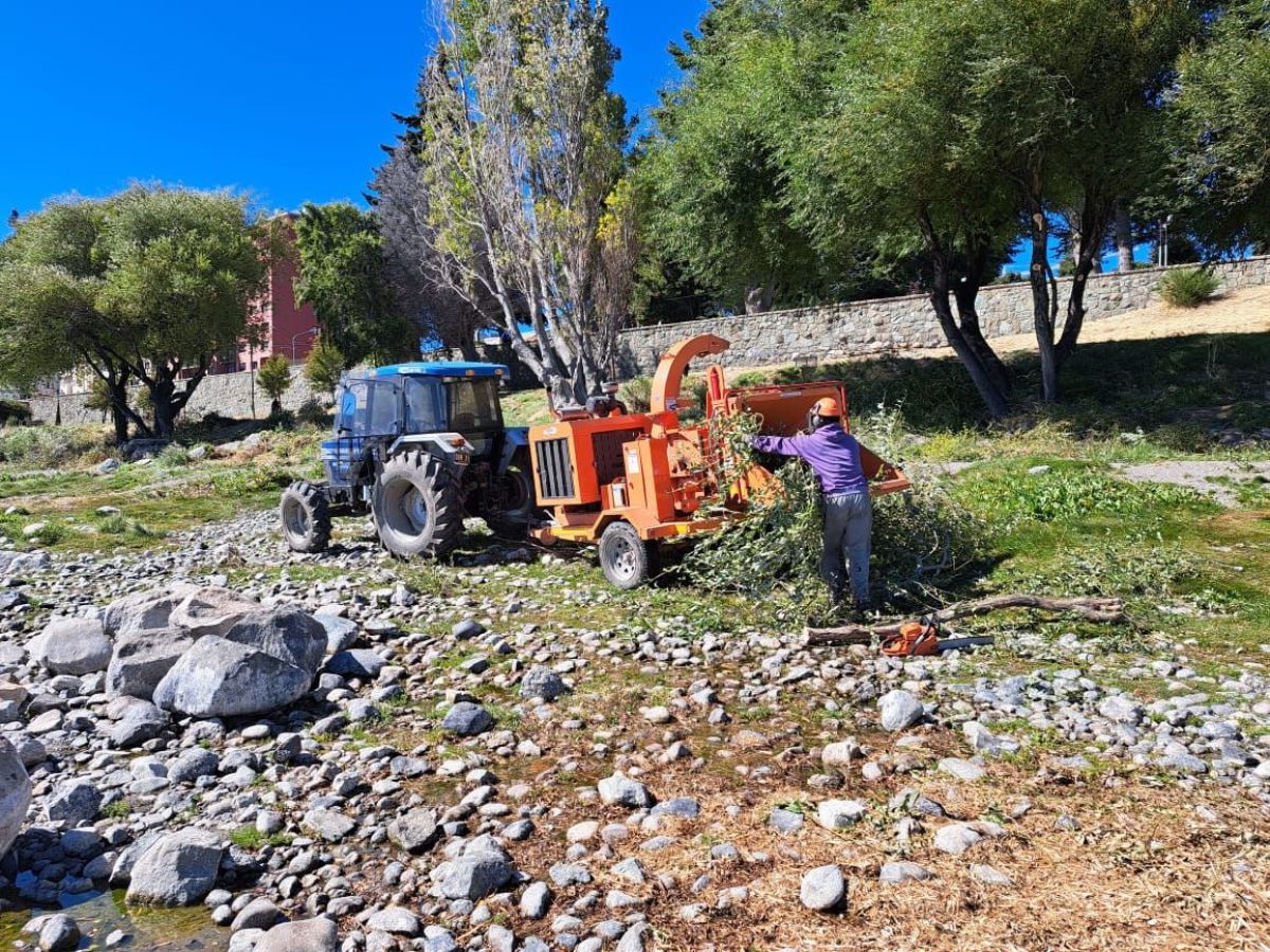 Continúa el embellecimiento de la ciudad, esta vez es el turno de Costanera