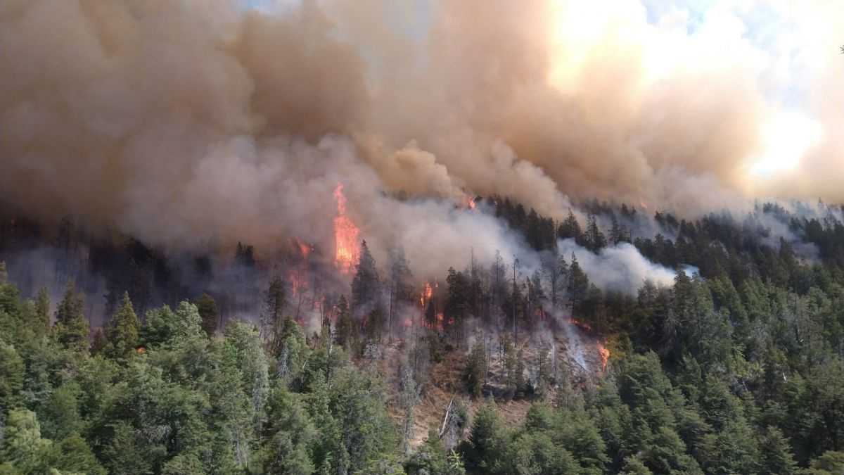 Incendio de El Bolsón: además del detenido investigan a dos personas por negligencia