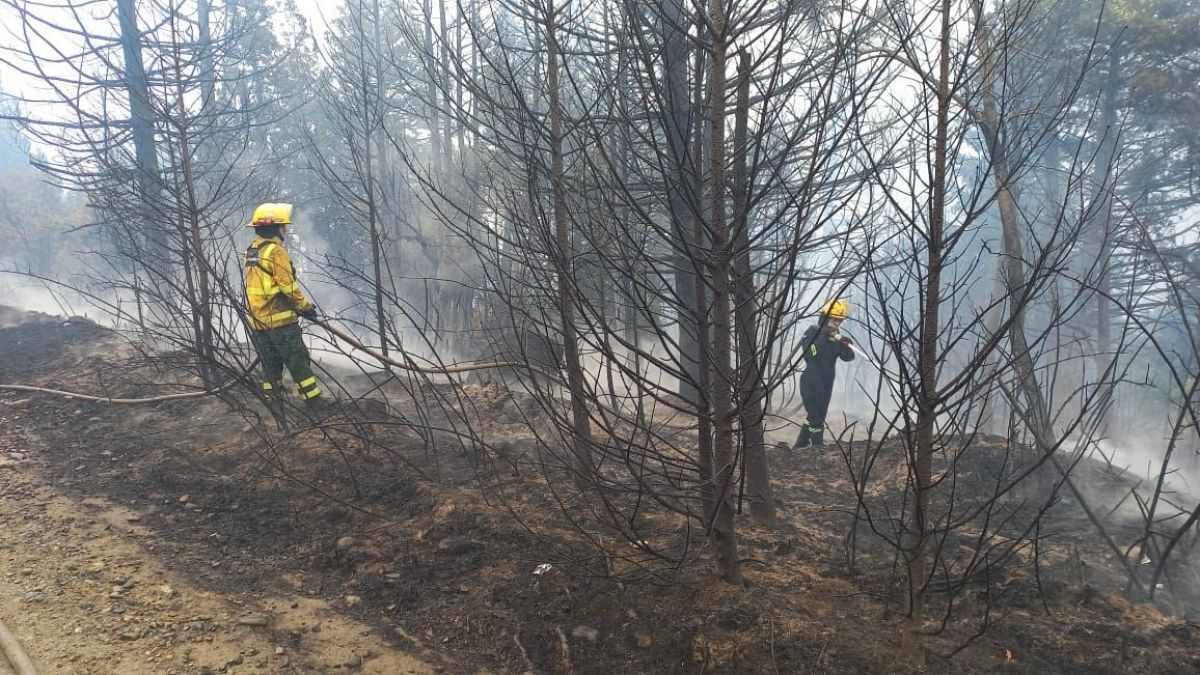 El incendio en Cascada Escondida se encuentra activo