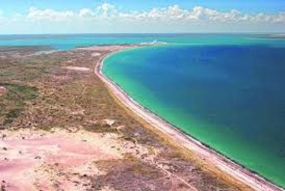  Presentan proyecto para criar truchas en agua salada con desperdicio cero