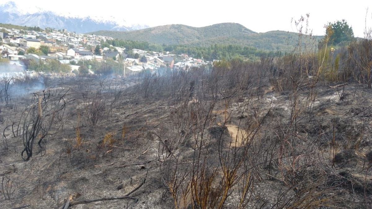 Contenido y controlado el incendio en La Lomita