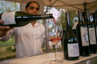 Cuenta regresiva para la feria itinerante de vinos más importante de Argentina
