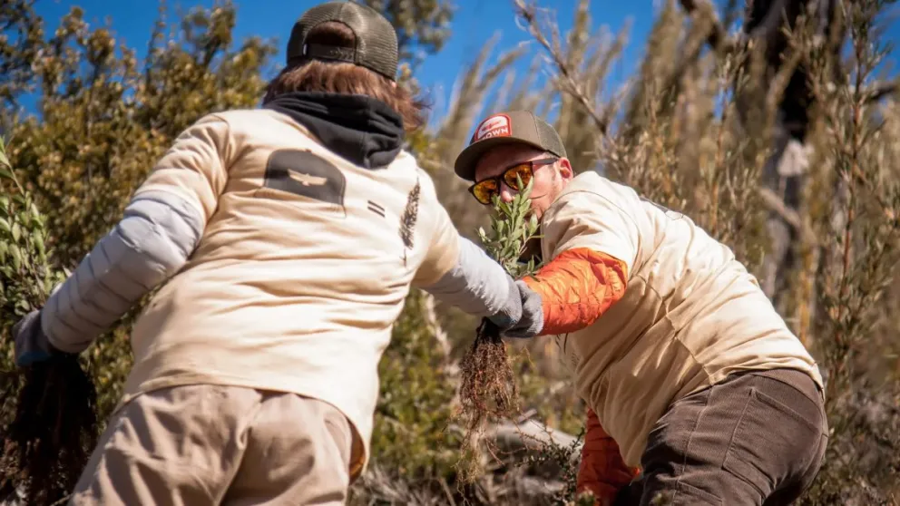 Voluntarios se organizan para reforestar los bosques incendiados cerca de Bariloche