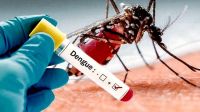  Río Negro no se encuentra entre las provincias de alto riesgo por Dengue