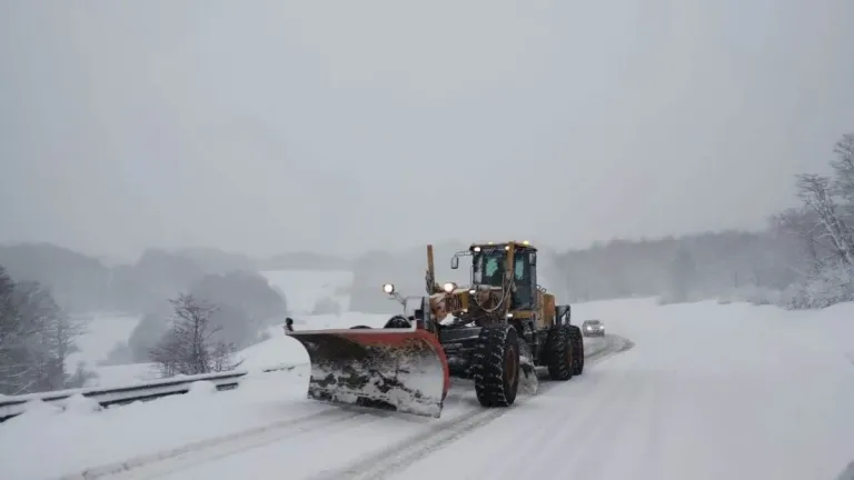 ¿Cómo están las rutas de la región luego de la nevada?